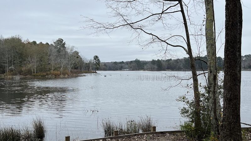 Langley Pond Park - Warrenville, SC