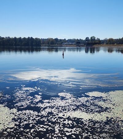 Langley Pond Park - Warrenville, SC
