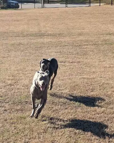 Langley Pond Park - Warrenville, SC