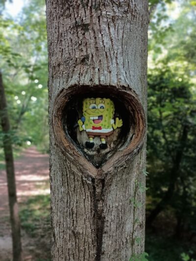 Warsaw Town Park - Warsaw, VA