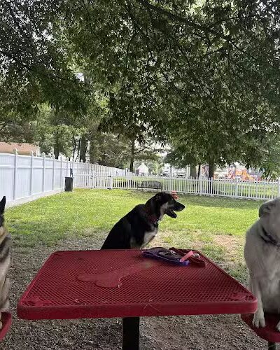 Warsaw Town Park - Warsaw, VA