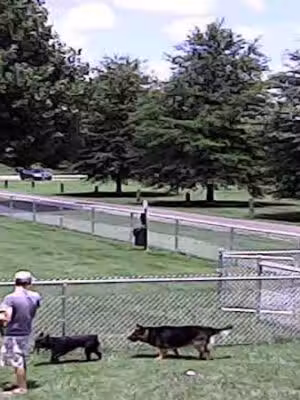 Wartrace Dog Park - Wartrace, TN