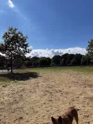 Warwick City Dog Park - Warwick, RI
