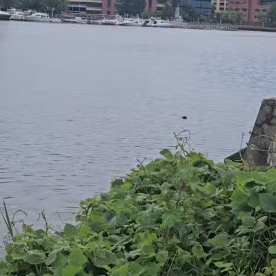 Anacostia Park - Washington,