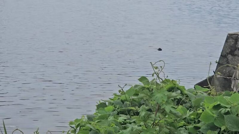 Anacostia Park - Washington,