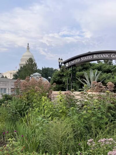 Bartholdi Fountain and Gardens (U.S. Botanic Garden) - Washington,