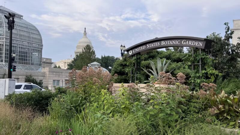Bartholdi Fountain and Gardens (U.S. Botanic Garden) - Washington,