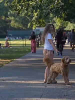 Meridian Hill Park - Washington,