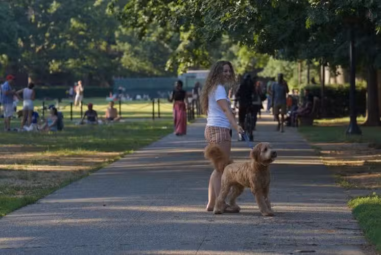 Meridian Hill Park - Washington,