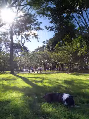 Stanton Park - Washington,