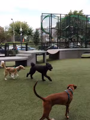 Swampoodle Dog Park & Playground - Washington,