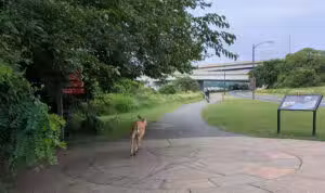 Anacostia Park - Washington,