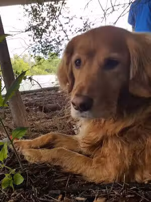Anacostia Park Section F - Washington,