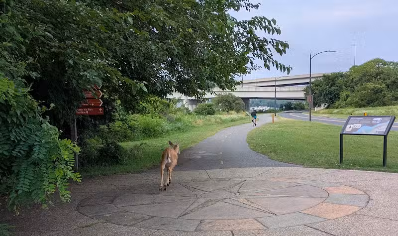 Anacostia Park - Washington,