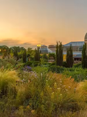 Bartholdi Fountain and Gardens (U.S. Botanic Garden) - Washington,