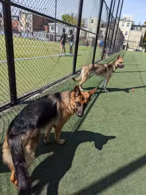 Bundy Dog Park - Washington,