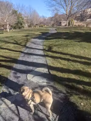 Crispus Attucks Park - Washington,