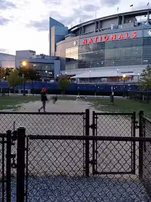 Dock 79 dog park - Washington,