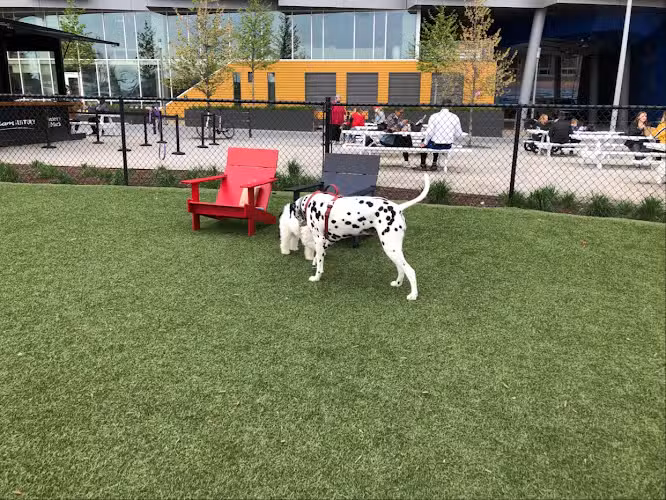 Dock 79 & Maren Dog Park (Private) - Washington,