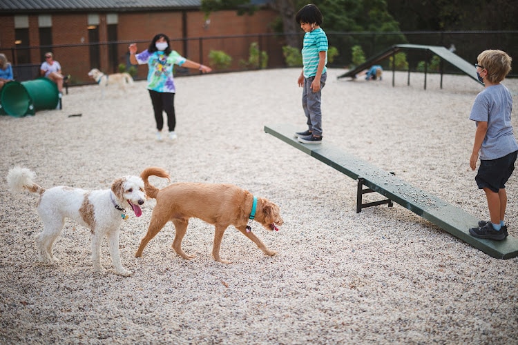 Dog Park at The Parks - Washington,