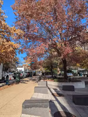 Duke Ellington Park - Washington,