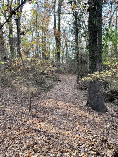 Fort Circle Park Hiker-Biker Trail - Washington,
