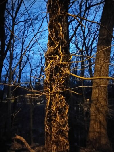 Fort Circle Park Hiker-Biker Trail - Washington,