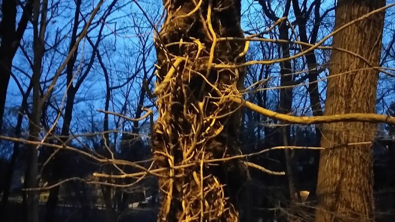 Fort Circle Park Hiker-Biker Trail - Washington,