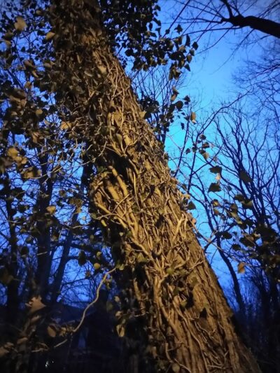 Fort Circle Park Hiker-Biker Trail - Washington,