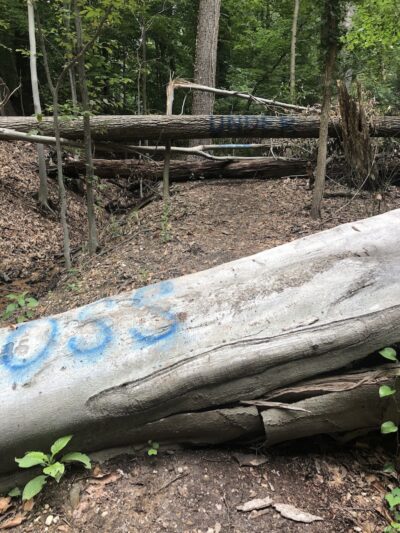 Fort Circle Park Hiker-Biker Trail - Washington,