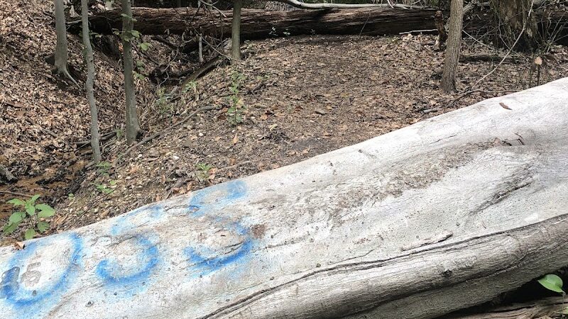 Fort Circle Park Hiker-Biker Trail - Washington,