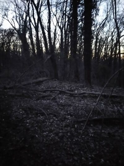 Fort Circle Park Hiker-Biker Trail - Washington,