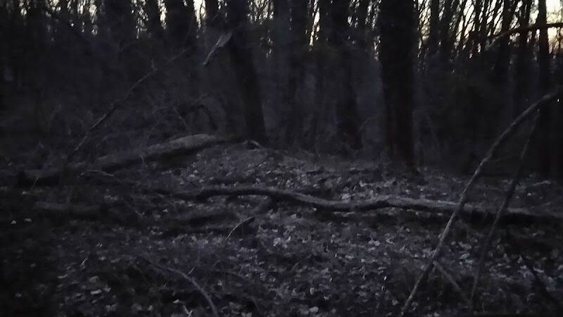 Fort Circle Park Hiker-Biker Trail - Washington,