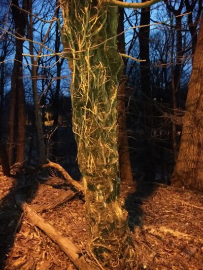 Fort Circle Park Hiker-Biker Trail - Washington,