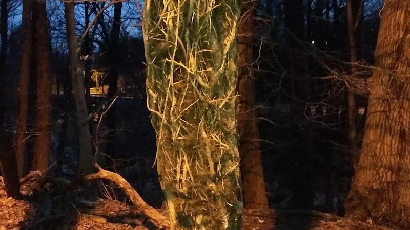 Fort Circle Park Hiker-Biker Trail - Washington,