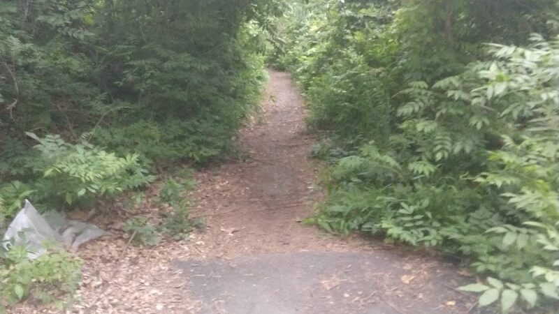 Fort Circle Park Hiker-Biker Trail - Washington,