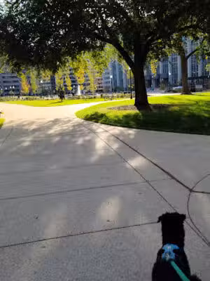 Franklin Park - Washington,