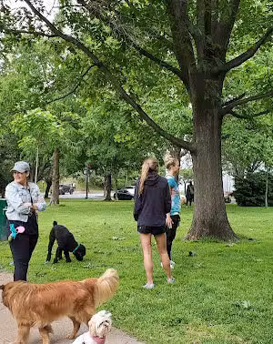 Garfield Park - Washington,