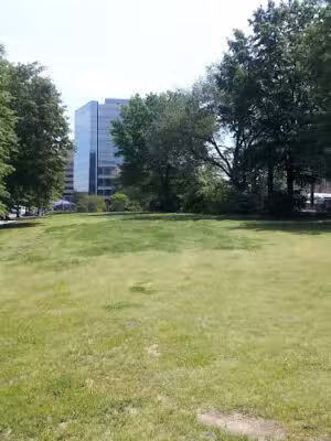 Hancock Park - Washington,