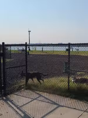 JBAB Dog Park - Washington,