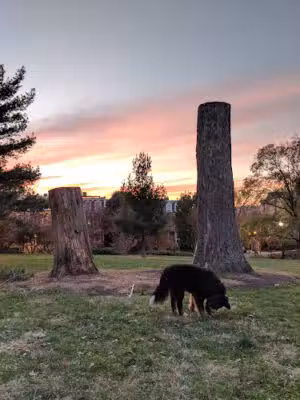 Kalorama Park - Washington,