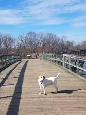 Kingman And Heritage Islands Park - Washington,