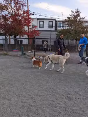 Kingsman Field Dog Park - Washington,