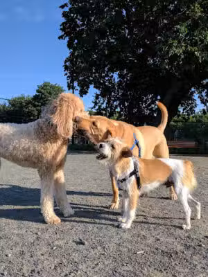 Lansburgh Park - Washington,