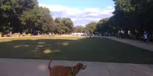 Lincoln Park - Washington,