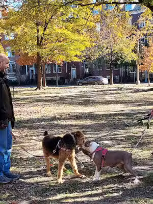 Logan Circle - Washington,