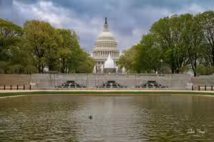 Lower Senate Park - Washington,