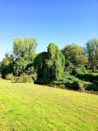 Oxon Run Park - Washington,