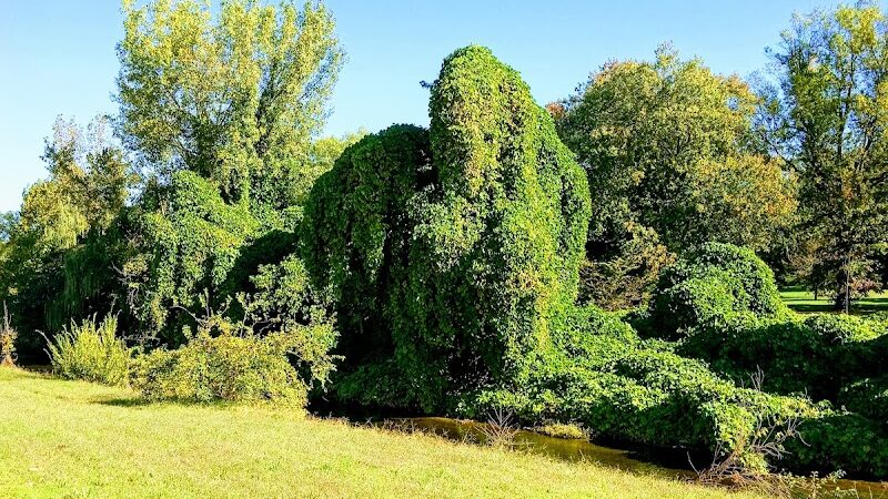 Oxon Run Park - Washington,