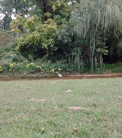 Oxon Run Park - Washington,